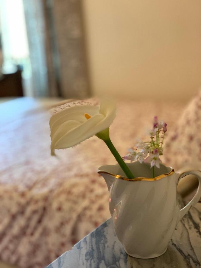 La Cle De La Porte B&B Antibes Kültér fotó